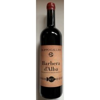 Barbera D'Alba Superiore SPECIAL "A" 2017 (dry red, 17.5% Alc!) NEW WINE